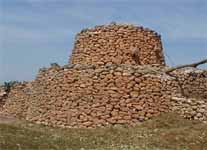 tazota